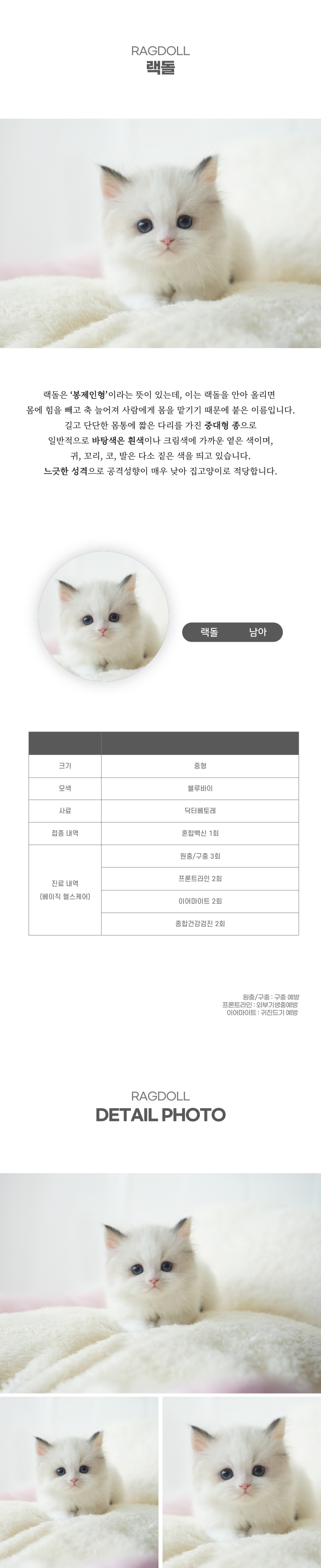 랙돌_상세이미지_2